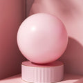 Pelvic Floor Muscle Training Fitness Ball